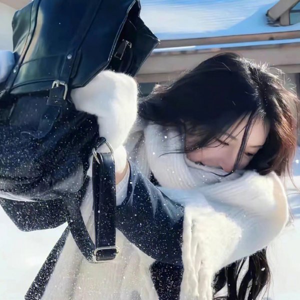 雪与熊